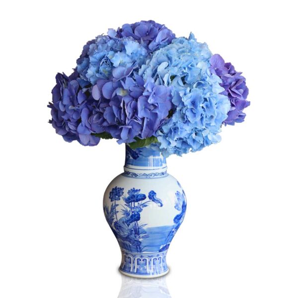 Blue-hydrangea-in-chineese-vase