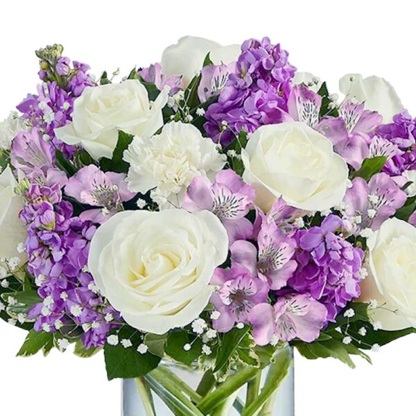 LAVENDER MEDLEY